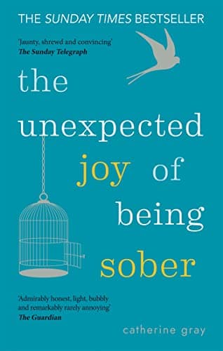 The Unexpected Joy of Being Sober book cover