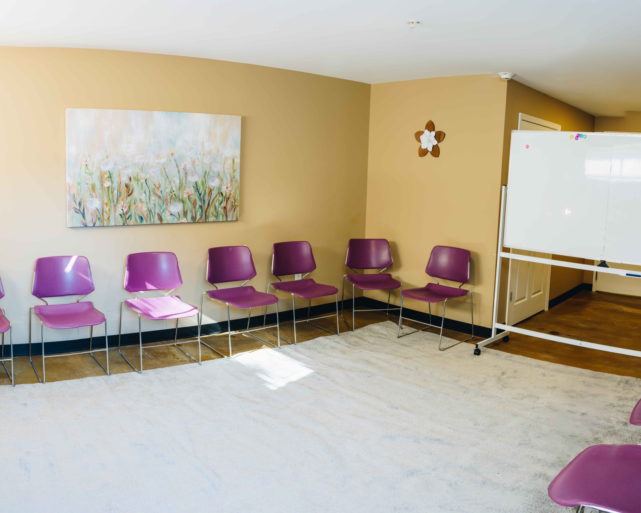Group Therapy Room Opt 2